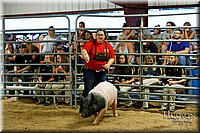 LCFAIR17-6466.jpg