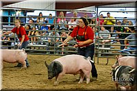 LCFAIR17-6469.jpg