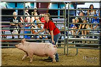 LCFAIR17-6470.jpg