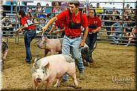 LCFAIR17-6472.jpg