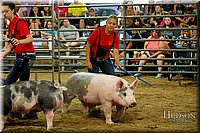 LCFAIR17-6473.jpg