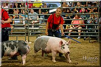 LCFAIR17-6474.jpg