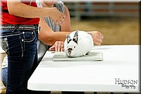 LCFAIR17-6635.jpg