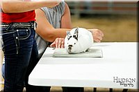 LCFAIR17-6636.jpg