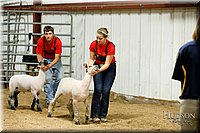 LCFAIR17-6661.jpg