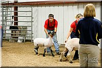 LCFAIR17-6663.jpg