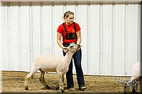 LCFAIR17-6664.jpg
