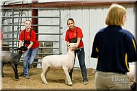 LCFAIR17-6665.jpg