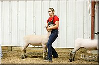 LCFAIR17-6669.jpg