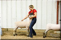 LCFAIR17-6670.jpg