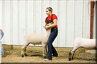 LCFAIR17-6671.jpg