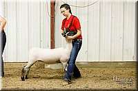 LCFAIR17-6673.jpg
