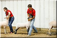 LCFAIR17-6676.jpg