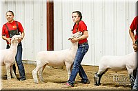 LCFAIR17-6677.jpg
