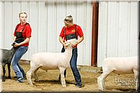 LCFAIR17-6678.jpg
