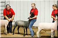 LCFAIR17-6679.jpg