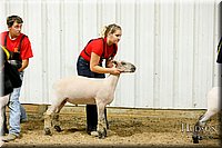 LCFAIR17-6680.jpg