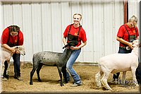LCFAIR17-6683.jpg