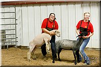 LCFAIR17-6684.jpg