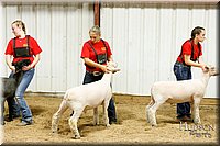 LCFAIR17-6686.jpg