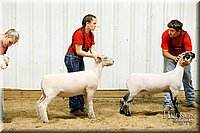 LCFAIR17-6687.jpg