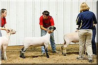 LCFAIR17-6688.jpg