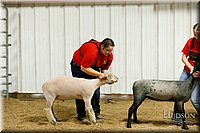 LCFAIR17-6689.jpg