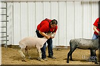 LCFAIR17-6690.jpg