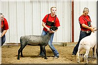 LCFAIR17-6691.jpg