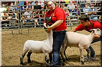 LCFAIR17-6692.jpg