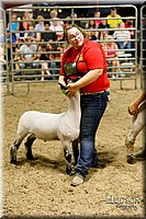 LCFAIR17-6694.jpg