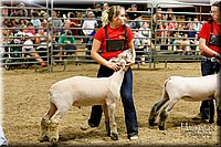 LCFAIR17-6696.jpg