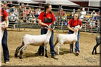 LCFAIR17-6698.jpg