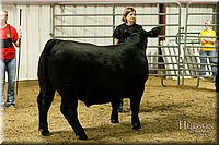 LCFAIR17-6700.jpg