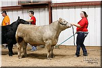 LCFAIR17-6701.jpg