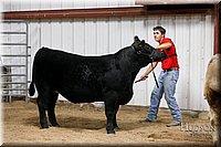 LCFAIR17-6702.jpg