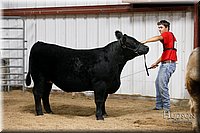 LCFAIR17-6704.jpg