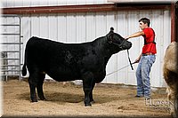 LCFAIR17-6706.jpg