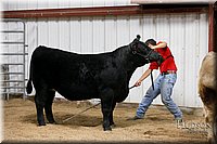 LCFAIR17-6707.jpg