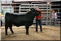 LCFAIR17-6708.jpg