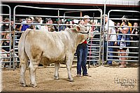 LCFAIR17-6710.jpg