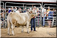 LCFAIR17-6711.jpg