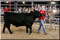 LCFAIR17-6712.jpg