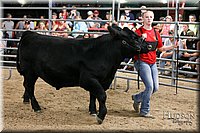 LCFAIR17-6713.jpg