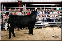 LCFAIR17-6716.jpg
