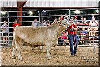 LCFAIR17-6717.jpg