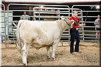 LCFAIR17-6718.jpg