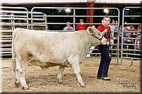 LCFAIR17-6719.jpg