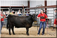 LCFAIR17-6720.jpg