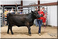 LCFAIR17-6721.jpg